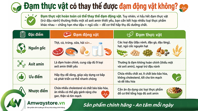 dam-thuc-vat-co-thay-the-duoc-dam-dong-vat-khong