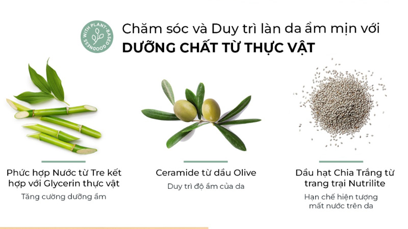 duong-chat-thuc-vat-gh