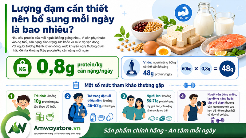 moi-ngay-can-bo-sung-bao-nhieu-dam-protein-la-du