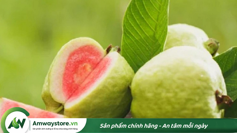 trai-oi-chua-nhieu-protein