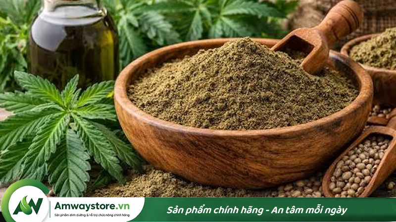 Hemp-Protein-cay-gai-dau