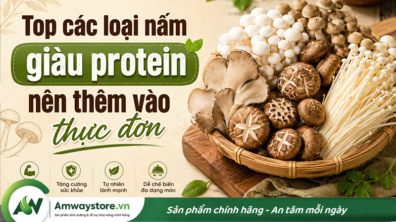 top-cac-loai-nam-giau-protein