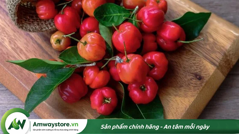 Acerola Cherry-chua-nhieu-vitamin-c