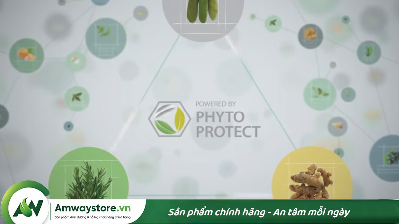 PhytoProtect-co-tac-dung-gi