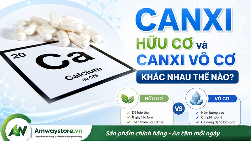 canxi-vo-co-va-huu-co-khac-nhau-nhu-the-nao