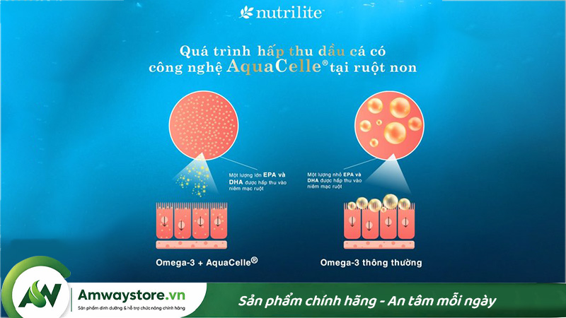 cong-nghe-AquaCelle-cua-omega-3-co-tac-dung-gi