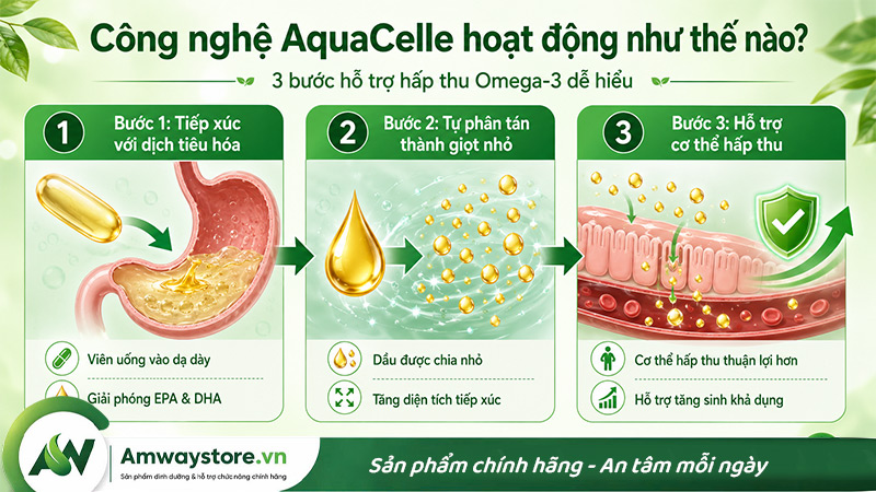 cong-nghe-aquacelle-cua-omega-3-amway-la-gi