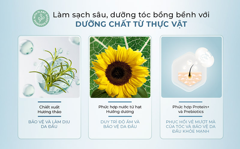 dau-goi-lam-sach-sau-va-kiem-soat-dau-thua-satinique-purifying-scalp-hair-shampoo-6