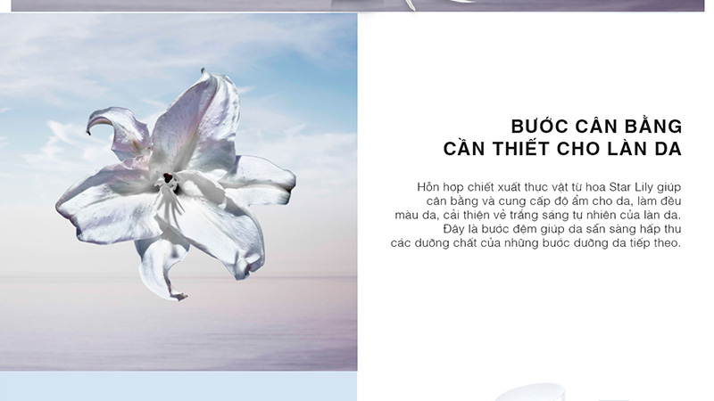 sua-duong-can-bang-trang-sang-da-tu-nhien-artistry-ideal-radiance6