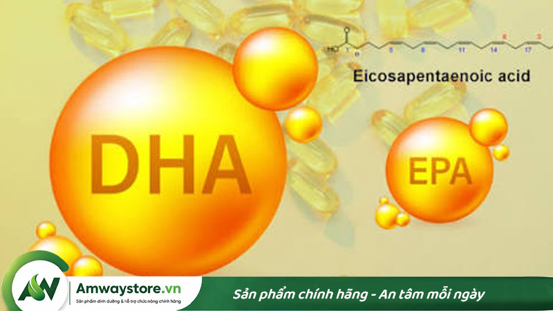 tang-hap-thu-dha-va-epa